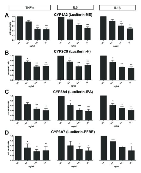 Specific Cyp Activity Inhibitions In Human Hepatocytes After H Of