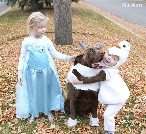 Easy DIY Sven Costume for a Dog - Ella Claire