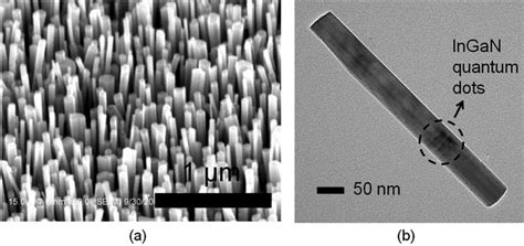 A Sem Image Of Ingan Gan Dot In A Wire Heterostructures Grown On Si