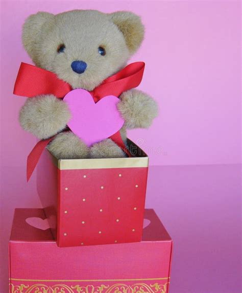 Petite Valentine Teddy Bear in Gift Box on Pink Background Stock Photo - Image of charming, pink ...