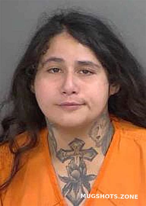 HARDING SELENA MIRANDA 04 17 2024 Collier County Mugshots Zone