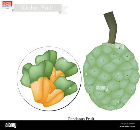 Screw Pine Fruit Stock Vector Images Alamy