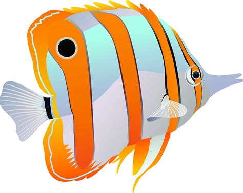 Dibujos De Animales Acuaticos Faciles Para Ninos Find