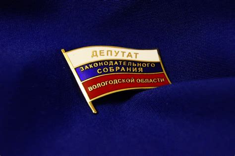 Депутатские значки(флажки)