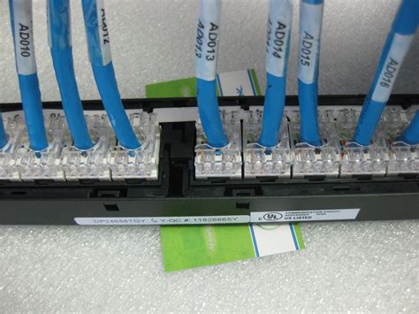 24 Port Panduit Patch Panel With 24 Cat6 Jacks 6ft Network Cable Dp24688tgy