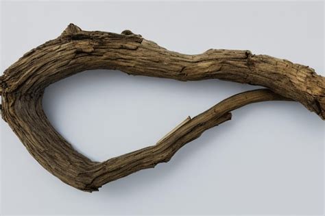 Premium Photo Old Tree Branch On White Background