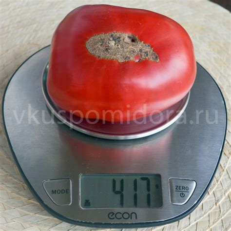 Купить семена томата сорт Баба Нина