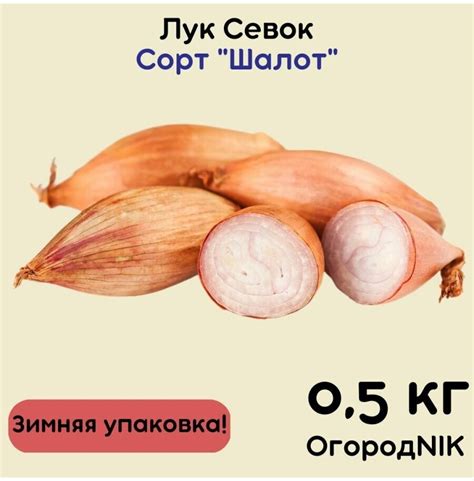 Лук шалот — купить по низкой цене на Яндекс Маркете