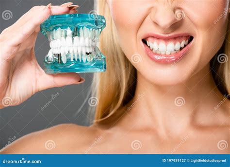 View Of Naked Woman Showing Teeth And Holding Jaw Model Isolated On Grey Stock Image Image Of