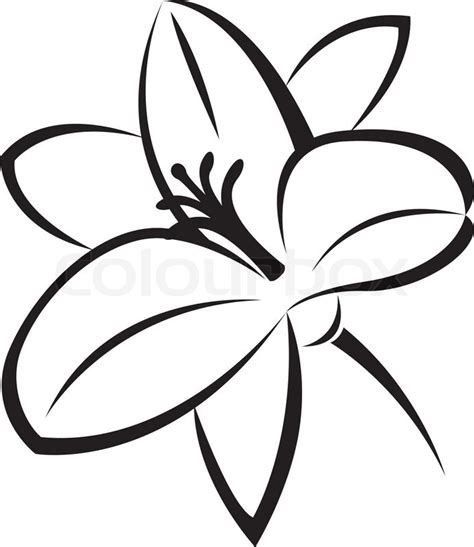Vector Monochrome Illustration Of Lily Flower Stock Vector Colourbox