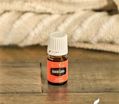Ravintsara Young Living Essential Oil Blend 5 Ml Etsy