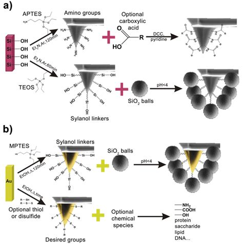 Polymer Characterization with the Atomic Force Microscope | IntechOpen 