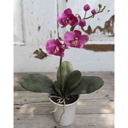 Acheter des Orchidée artificielle Phalaenopsis QUILA pot en céramique