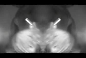 Ladyboy maricas brinquedo soando uretral meia calça de nylon gay xHamster