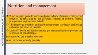 Andrology Lecture 9 Puberty And Sex Maturity PDF