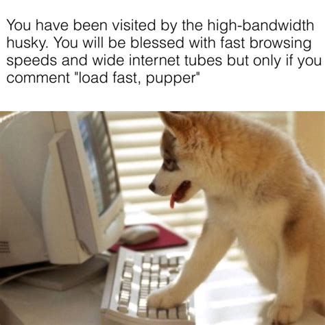 Load Fast Pupper Sleep Tight Pupper Know Your Meme