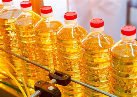 Detailed Report On Vegetable Oil Best Sharda Associates 2025 26