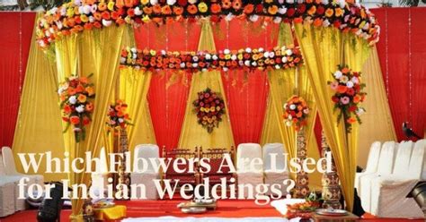 The Best 8 Indian Wedding Flowers for Your Big Day