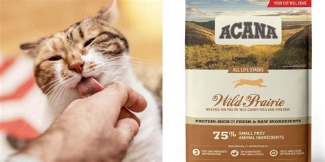 Κριτική τροφής Acana Wild Prairie Cat & Kitten - Petkeepers