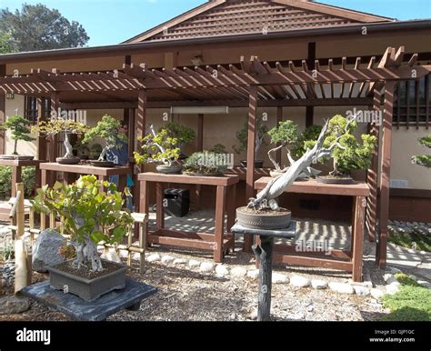 037 Balboa Park Japanese Garden Stock Photo - Alamy