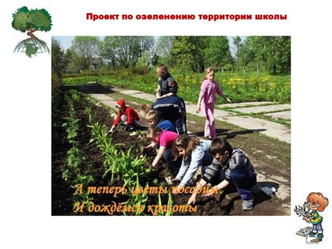 Отчет о работе школьного лесничества «Юный друг природы» - презентация ...