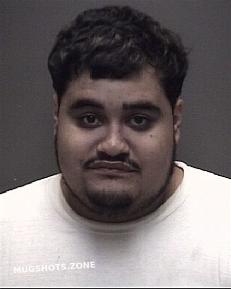 Centeno Guillermo Galveston County Mugshots Zone