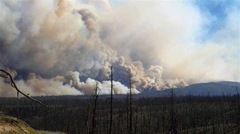 Cientos De Personas Son Evacuadas Por Incendio Forestal En Arizona