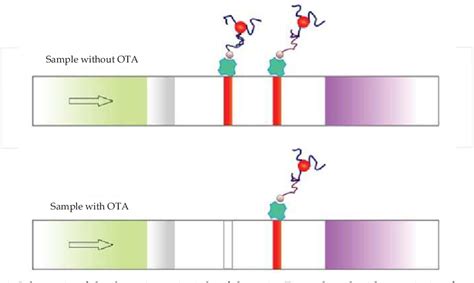 Figure 1 From Advances In Aptamer Based Biosensors For Food Safety