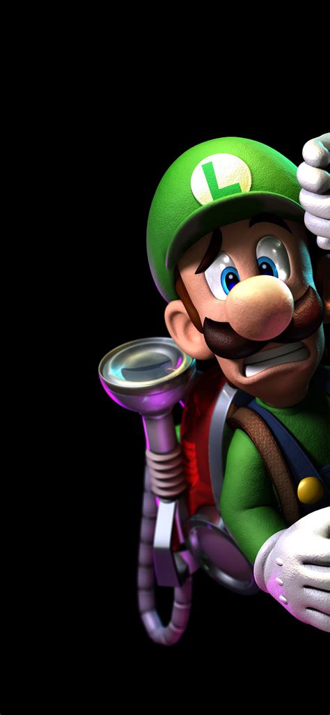 Luigi S Mansion Wallpaper Hd X Wallpaper Teahub Io