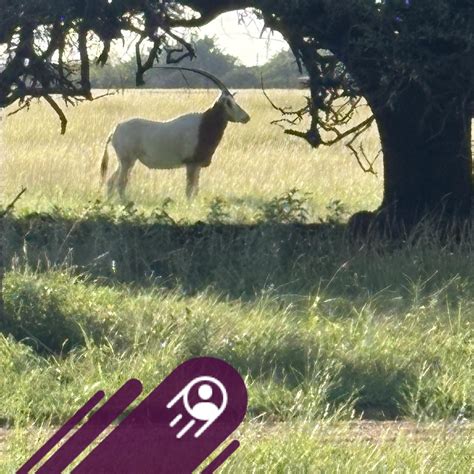 PADUCAH - Andrea Welch, 21, received... - The Paducah Insider | Facebook