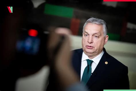 Widerstand gegen den Fidesz Präsidentschaftskandidaten Sulyok Orbáns