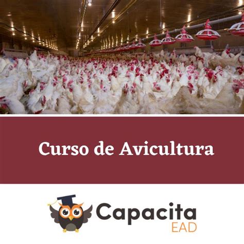 Curso De Avicultura Avicultura Cursos Online Cursos