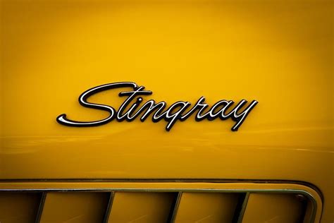 Chevy Corvette Stingray Logo LogoDix