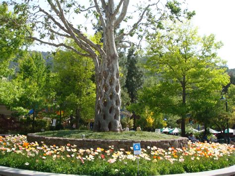 Circus Tree At Gilroy Gardens Martin Lewison Flickr