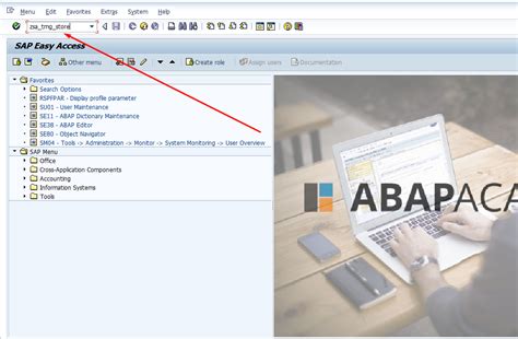 How To Change Sap Easy Access Screen Picture Abap Academy