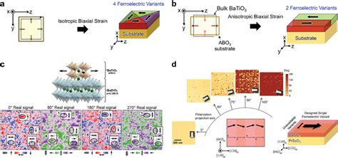 Schematic Of A Strain Symmetry Effect For BaTiO3 Film Under A