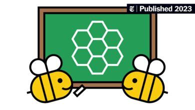 Spelling Bee Buddy - A Comprehensive Guide To Mastering The Nyt ...