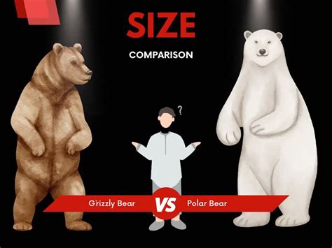 Polar Bears Vs Grizzly Bears Size - Are polar bears bigger than grizzly