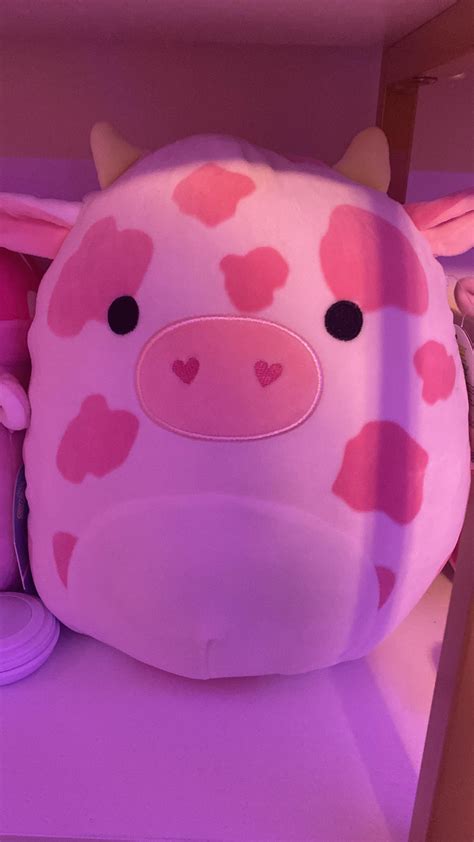 Uft Iso Attached Will Look At Nwt Victoria Secret And Kuromi My Melody R Bstsquishmallow