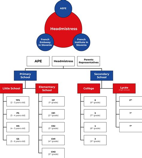 Organigramme – Ecole Française internationale de Ljubljana