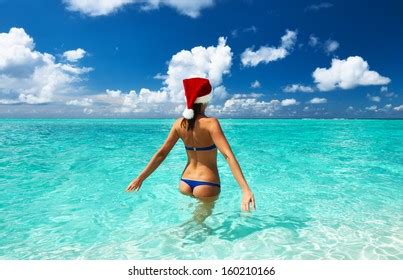 4 388 Sexy Santa Bikini Images Stock Photos Vectors Shutterstock