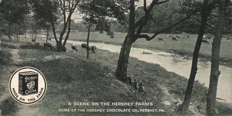 Hershey Farms Home Of Hershey Chocolate Co Pennsylvania Postcard