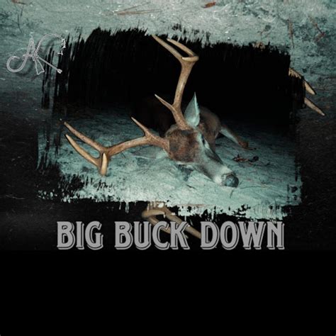 Big Buck Down Youtube Music