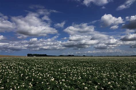 Wilhelminapolder Door Arjan Van Lomwel Goes Mooie Wolken Omroep