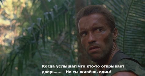 Шварц на страже | Пикабу