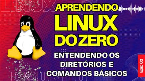 Aprenda Linux Comandos BÁsicos E Seus DiretÓrios Para Iniciantes Youtube