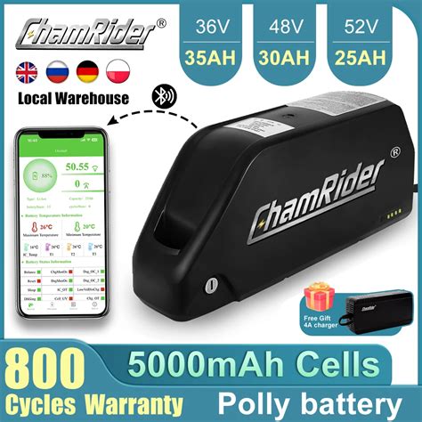 Chamrider Polly V Ah Ebike Battery Downtube V Electric Battery