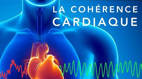 La Coh Rence Cardiaque Un Exercice Simple Pour Retrouver L