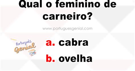 Substantivo Feminino De Carneiro - Feminino de carneiro - Qual é o feminino de carneiro? | Português Genial
