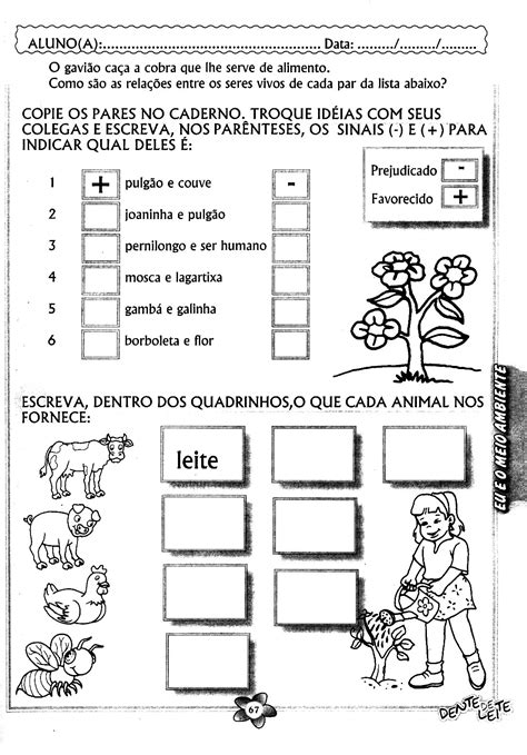 Atividades Para Segundo Ano Ensino Fundamental - 7